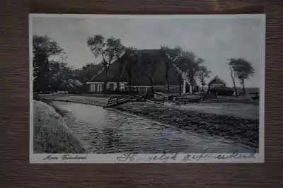 Friesland Zamów teraz