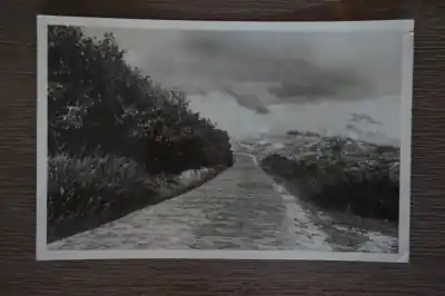 Vlieland Nabij Bomenland Tylko dziś