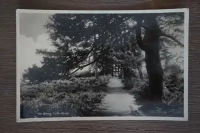 De Steeg Kijk over Zamów teraz