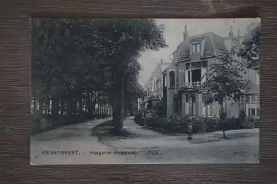 Darmowa dostawa Oegstgeest Haagsche Straatweg