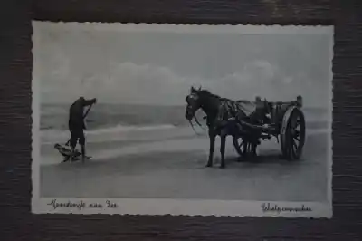 Noordwijk aan Zee Schelpenvisscher Oferta limitowana