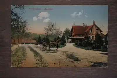 Wyprzedaż Ginneken Boschwachter