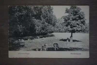 Den Haag Hertenkamp Oferta