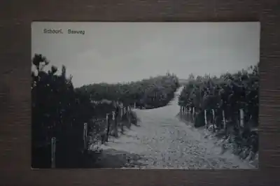 Darmowa dostawa Schoorl Basweg