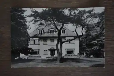 Den Dolder De Vinkenhof Oryginalny