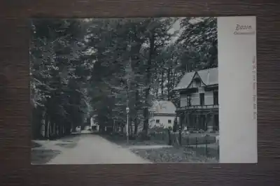 Tylko dziś Baarn Groeneveldt