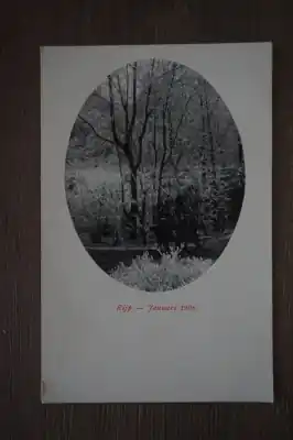 Autentyczny Rijp Januari 1908