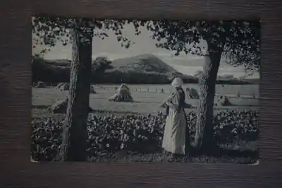 Bergen en Schoorl Landschap tussen Rabat