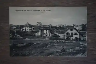 Noordwijk aan Zee Panorama in de duinen Premium