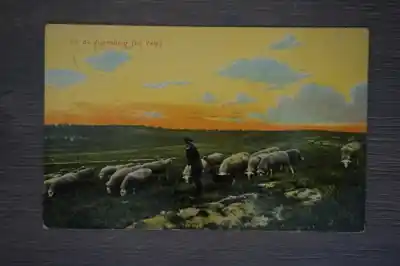 Tylko dziś Velp Op de Zijpenberg