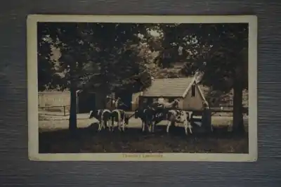 Twente Twentsch landschap Kup teraz