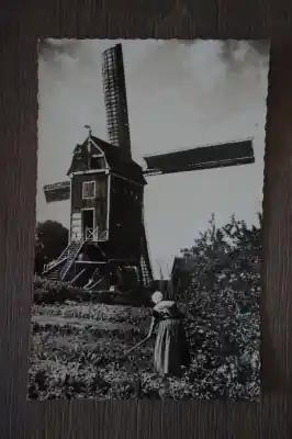 Kup teraz Kruiningen Open standaardmolen