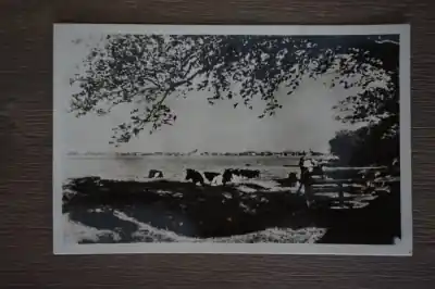 Texel Bij Oudeschild Niska cena