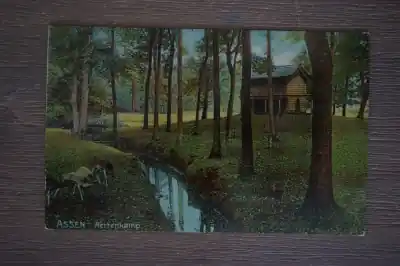 Assen Hertenkamp Oferta