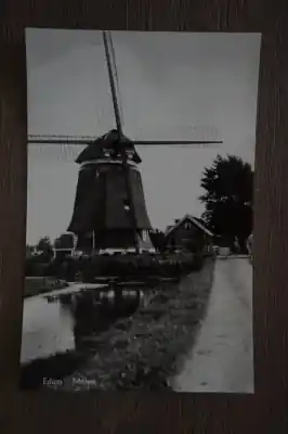 Najlepsza cena Edam Molen