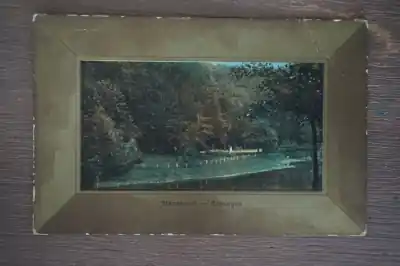 Groningen Sterrebosch Najlepsza cena