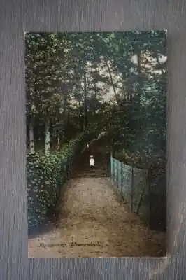 Bloemendaal Karmel trap Promocja