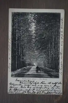 De Steeg Middachter allee Autentyczny