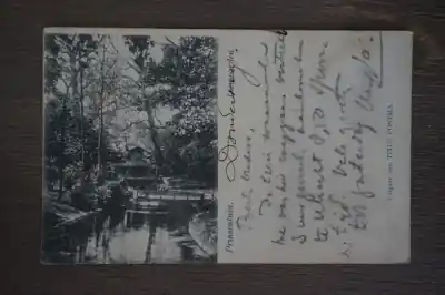 Leeuwarden Prinsentuin Promocja