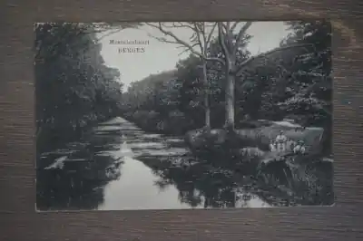 Bergen Mosselenbuurt Promocja