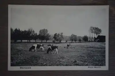 Warnsveld Weide gezicht Bezpieczna płatność
