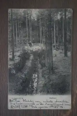 Ginneken Mastbosch Premium