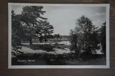 Ostatnia szansa Roden Heide