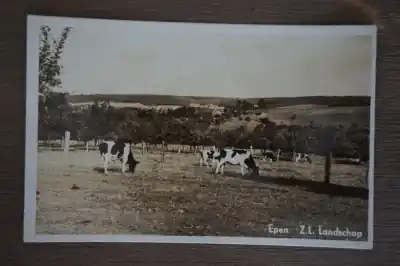 Epen Landschap Tylko dziś