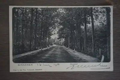 Ginneken Huisdreef Niska cena