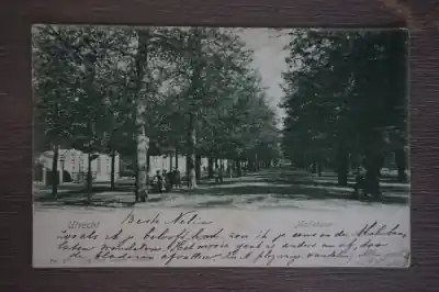 Nowość Utrecht Maliebaan