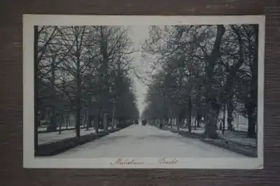 Tylko dziś Utrecht Maliebaan