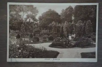 Utrecht Rosarium Zamów teraz