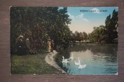 Tani Utrecht Wilhelmina park