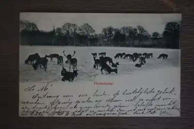 Ansichtkaart Hertenkamp Szybka dostawa