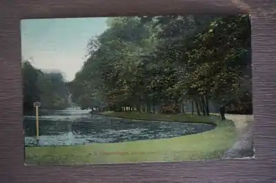 Den Haag Groote vijver in het Haagsche bosch Wysoka jakość