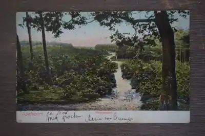 Oryginalny Apeldoorn Kruisjesdal