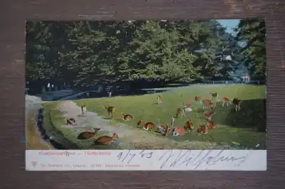 Rabat Haarlem Haarlemparkhout Hertenkamp