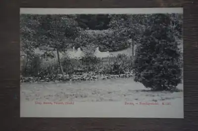 Ekspresowa dostawa Doorn Boschgezicht