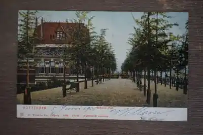 Rotterdam Believue park Zamów teraz