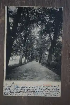 Ostatnia szansa Rotterdam Laan langs de Maas inde Oude plantage