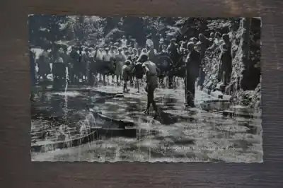 Zamów teraz Rozendaal Bedriegertjes