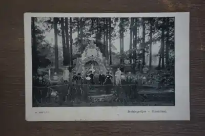 Ekspresowa dostawa Rozendaal Bedriegertjes