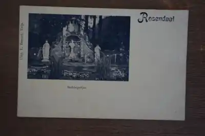 Tylko dziś Rozendaal Bedriegertjes