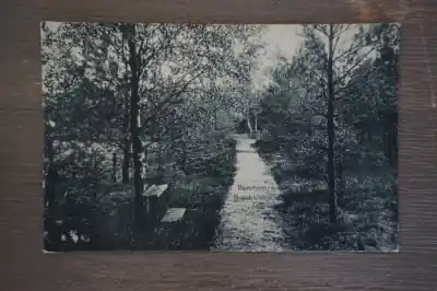 Ekspresowa dostawa Barchem Bosch kiekje