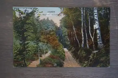 Dieren Naar den Geitenberg Ostatnia szansa