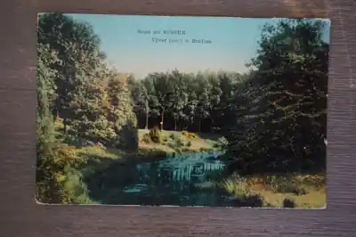 Bussum Vijver bosch van Bredius Premium