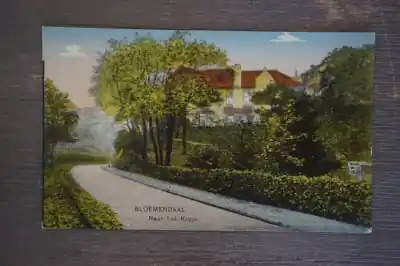 Bloemendaal Naar het Kopje Popularny