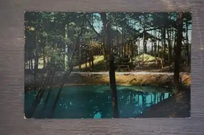 Niska cena Zeist Koekepan in 't bosch