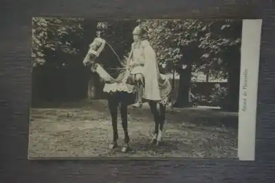 Utrecht Lustrumfeest 1911 Gerard de Florenville Kup teraz