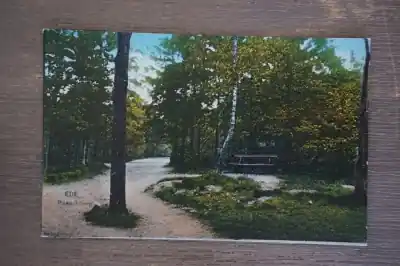 Ede Paaschberg Popularny